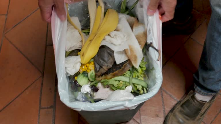 Best Yard Waste Removal  in Waterloo, IA